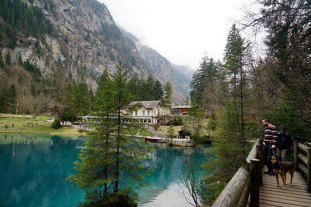 20251102-bxgqy 20251102-bxgqy