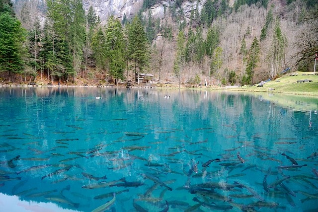 20251102-dhwxd 20251102-dhwxd