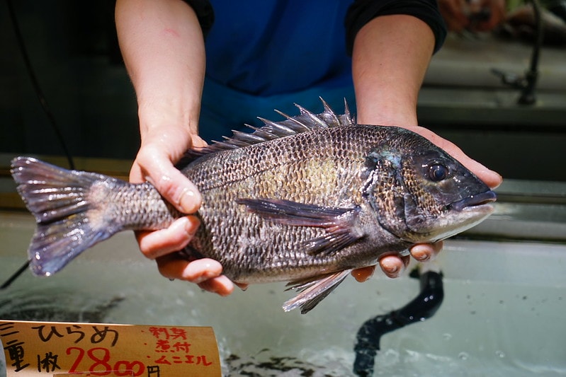 20251102-jgn5i 20251102-jgn5i