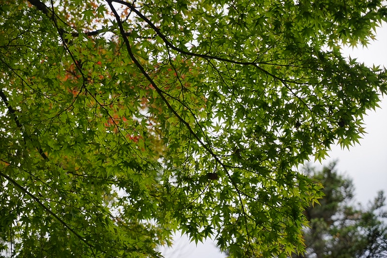 20251102-pc03i 20251102-pc03i