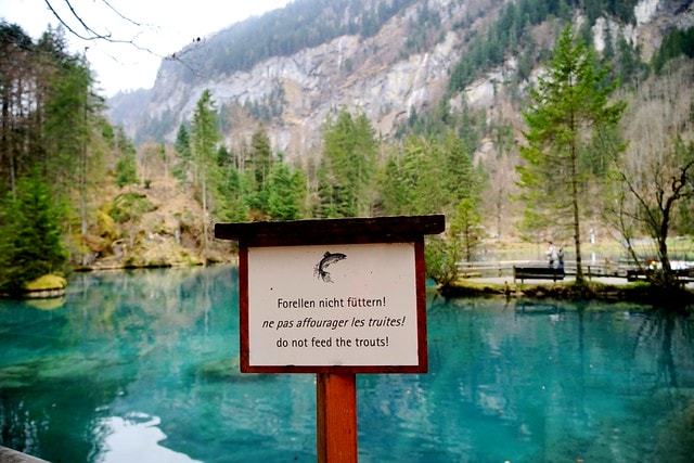 20251102-tv69q 20251102-tv69q