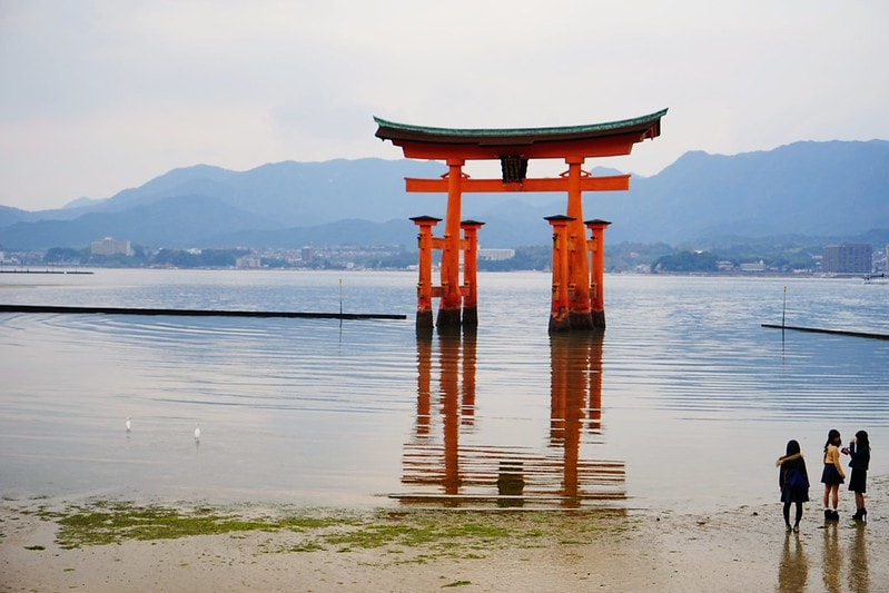 20251102-25pt6 20251102-25pt6