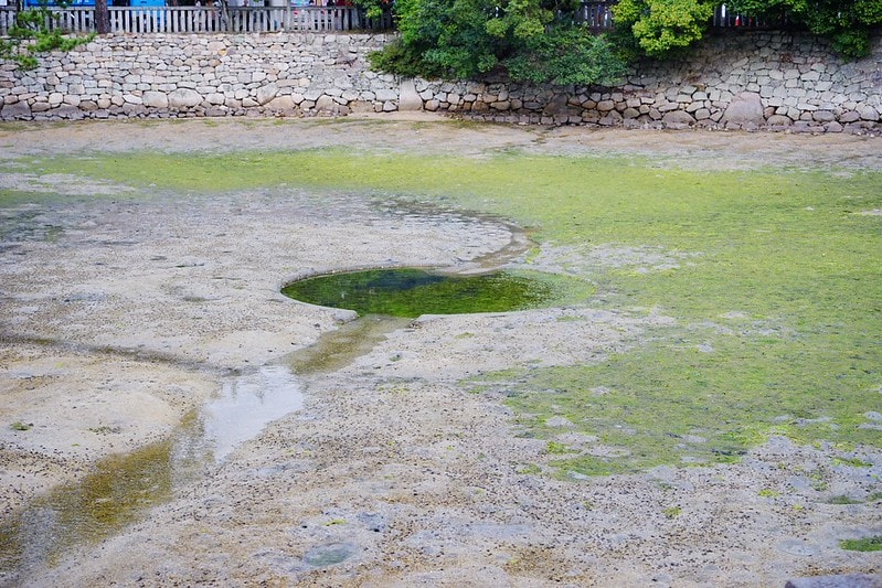 20251102-2md2w 20251102-2md2w