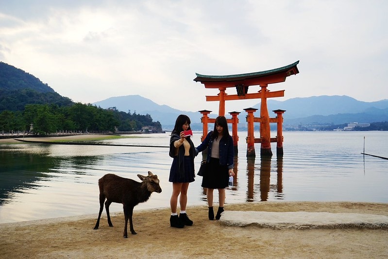 20251102-2zuuf 20251102-2zuuf