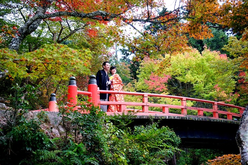 20251102-b7f7o 20251102-b7f7o