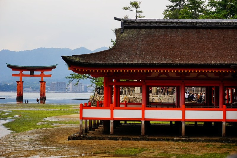 20251102-bqp8i 20251102-bqp8i