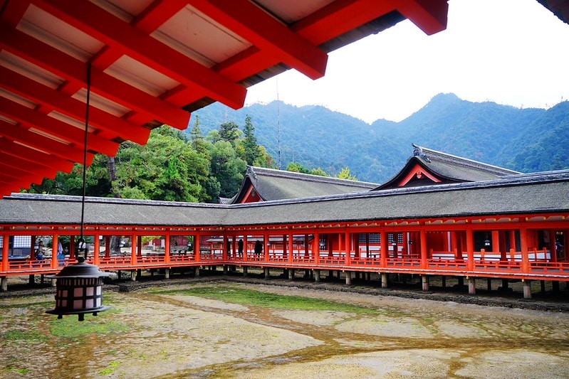 20251102-cze94 20251102-cze94