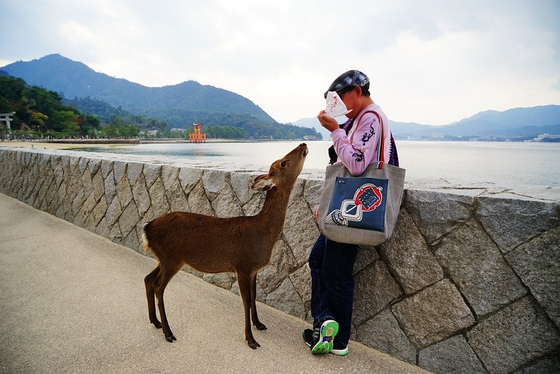 20251102-iv61u 20251102-iv61u