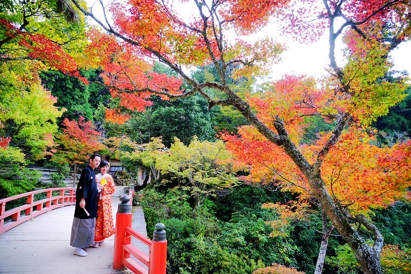 20251102-l9k0d 20251102-l9k0d