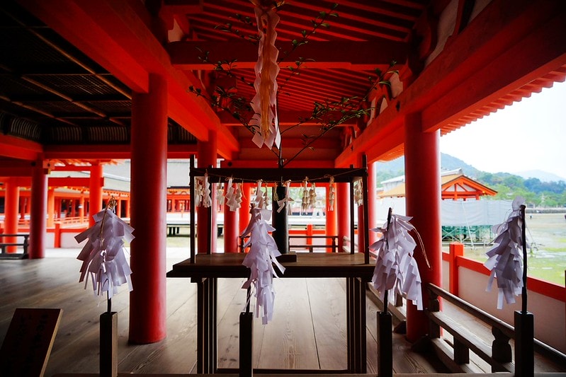 20251102-vq1ym 20251102-vq1ym