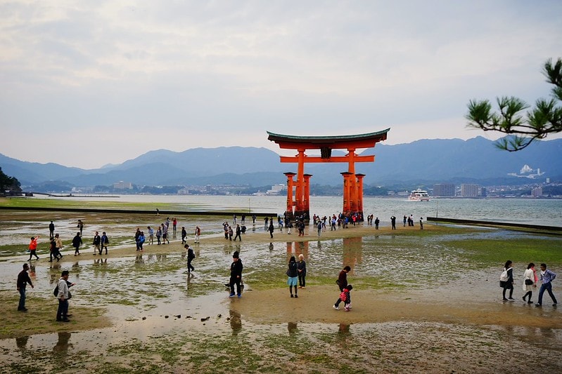 20251102-w9zmt 20251102-w9zmt