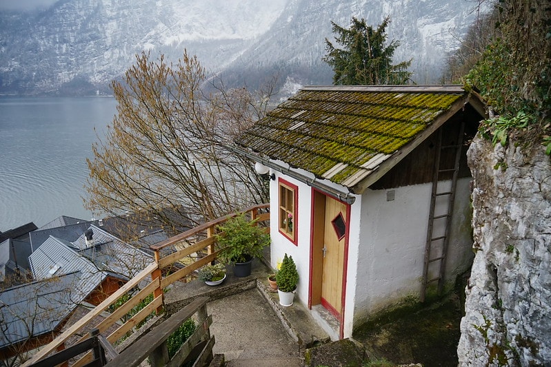 20251102-08so5 20251102-08so5