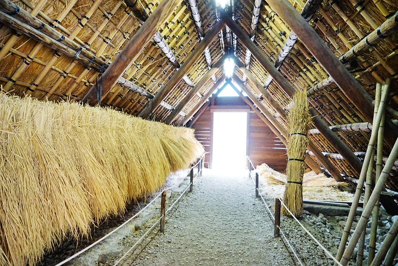 20251102-0bf7g 20251102-0bf7g