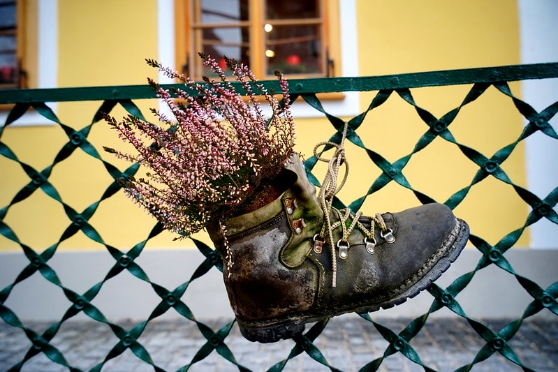 20251102-fnwze 20251102-fnwze