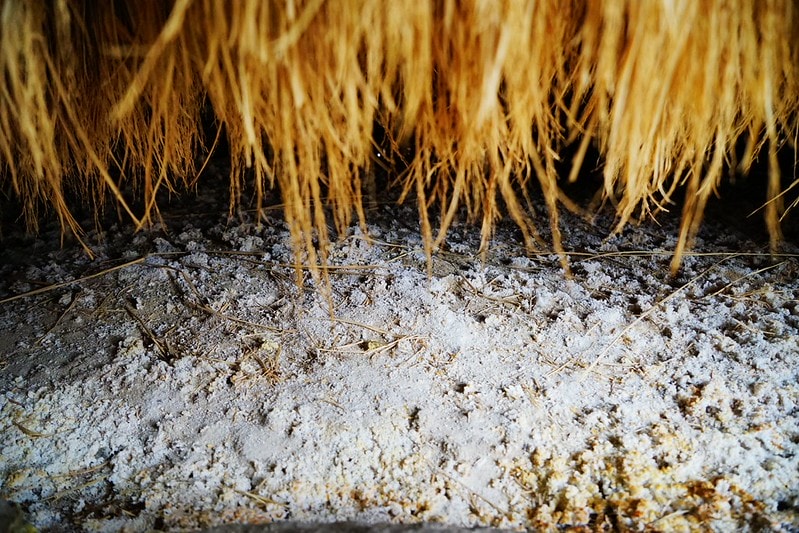 20251102-n2p48 20251102-n2p48