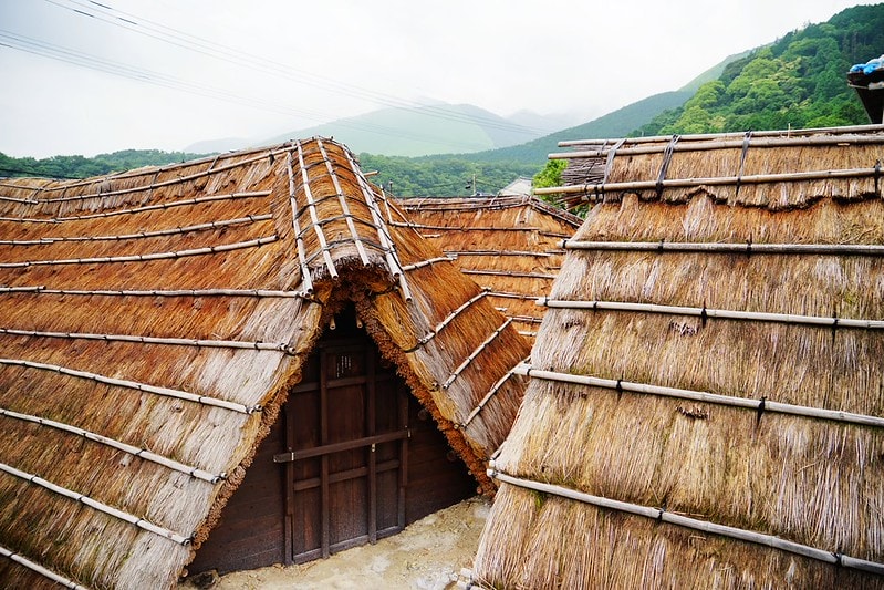 20251102-szp77 20251102-szp77