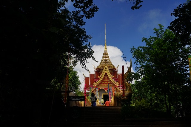 20251102-4wltf 20251102-4wltf