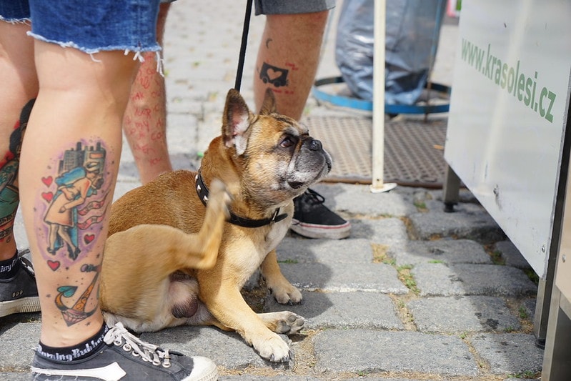 20251102-sjsx6 20251102-sjsx6