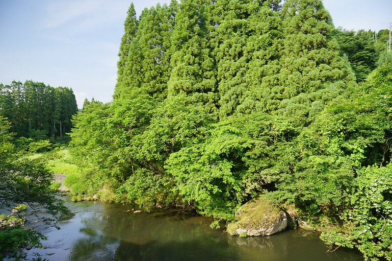 20251102-uo848 20251102-uo848