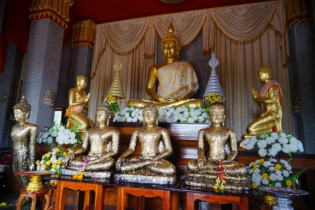 20251102-zlz4q 20251102-zlz4q