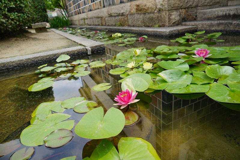 20251102-un026 20251102-un026