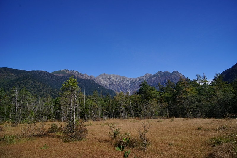 20251102-bky7n 20251102-bky7n