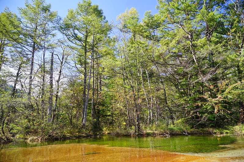 20251102-edkii 20251102-edkii