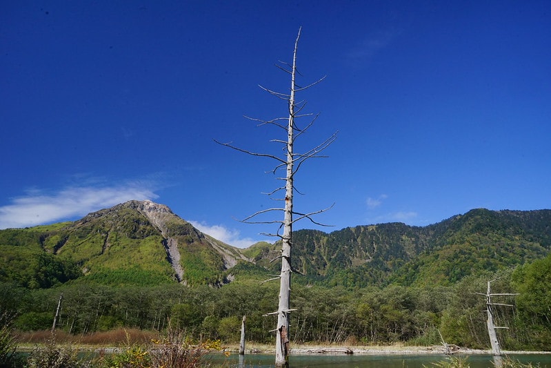 20251102-gy0gi 20251102-gy0gi