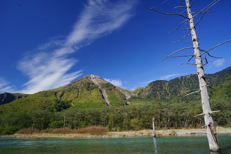 20251102-u5ed4 20251102-u5ed4