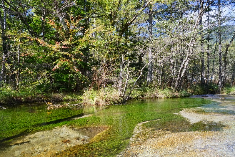 20251102-udd3s 20251102-udd3s