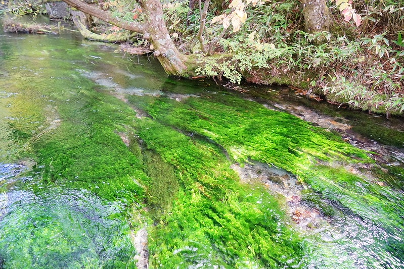 20251102-vfd0m 20251102-vfd0m