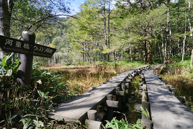 20251102-vnj6w 20251102-vnj6w