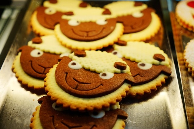 20251102-4j77x 20251102-4j77x