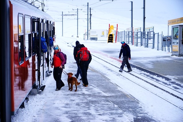 20251102-6ywga 20251102-6ywga