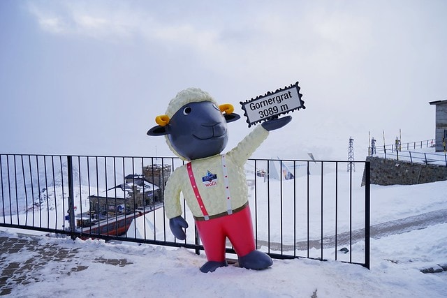 20251102-r8fam 20251102-r8fam