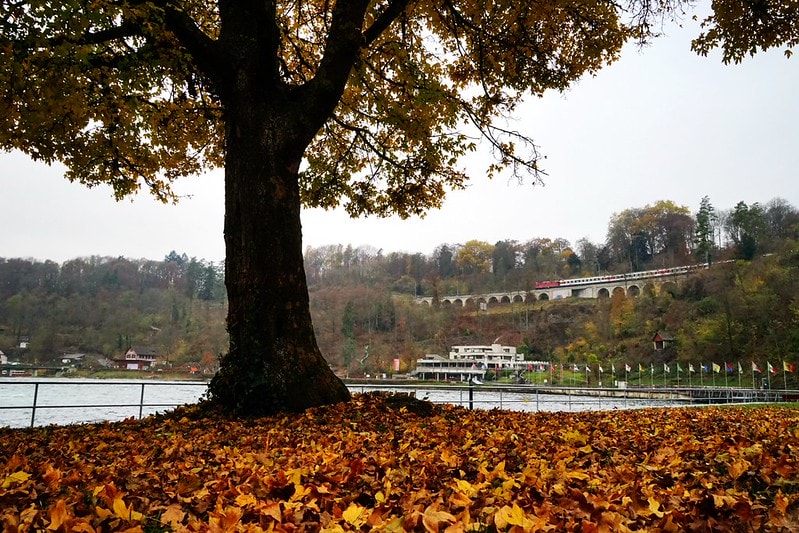 20251102-fqohi 20251102-fqohi