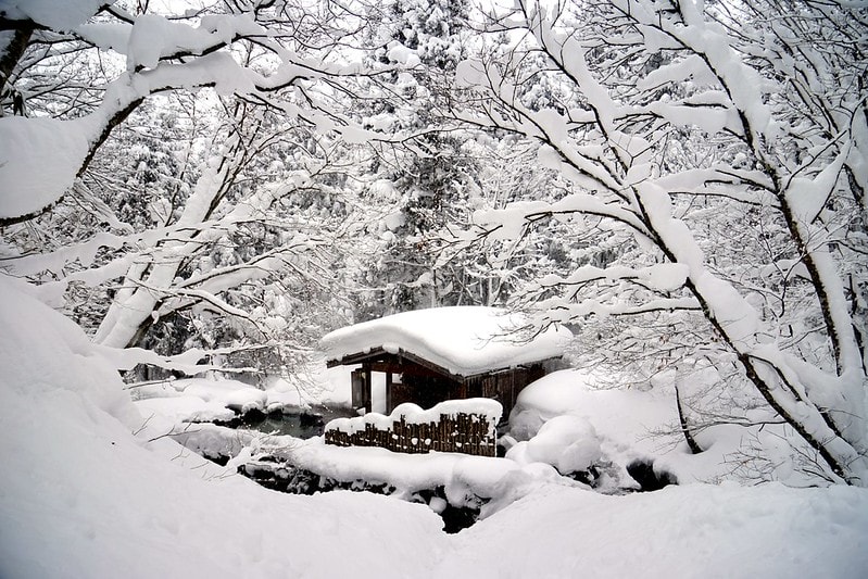 20251102-270u8 20251102-270u8