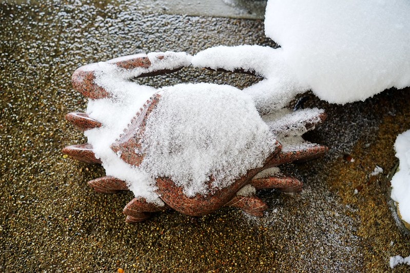 20251102-6pm4s 20251102-6pm4s