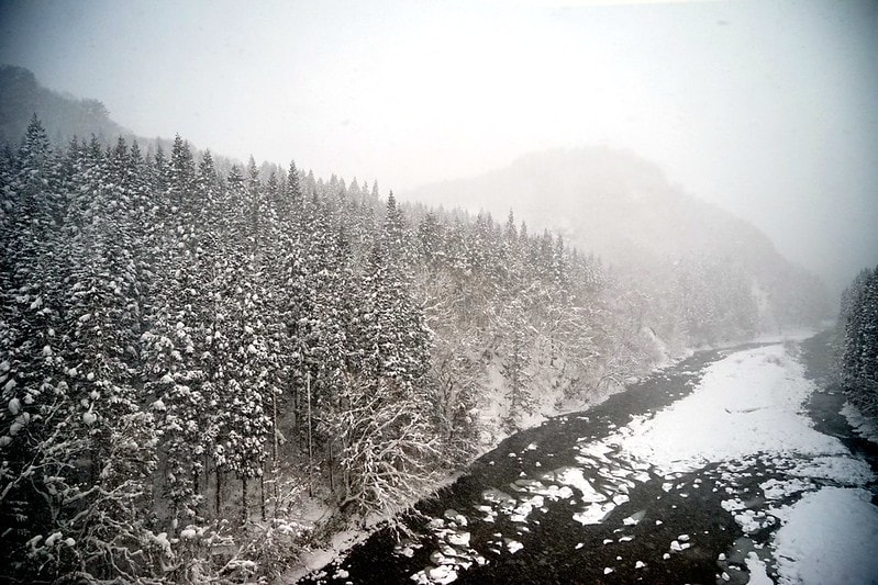 20251102-kdo0o 20251102-kdo0o