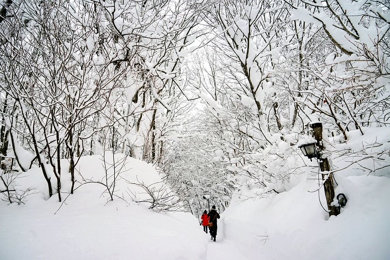 20251102-lux6b 20251102-lux6b