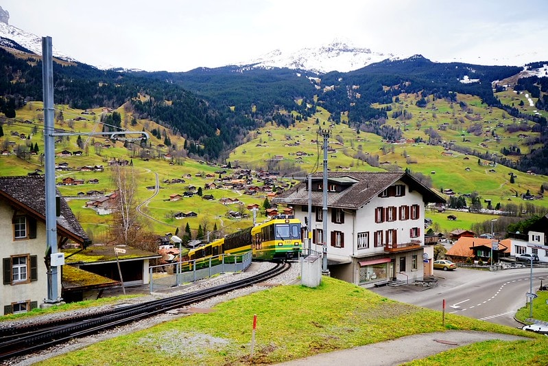 20251102-tlpcy 20251102-tlpcy