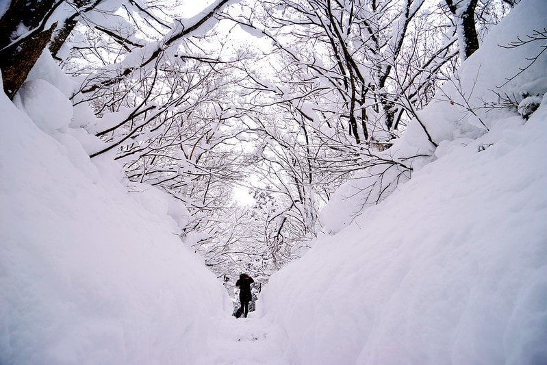 20251102-ucan7 20251102-ucan7