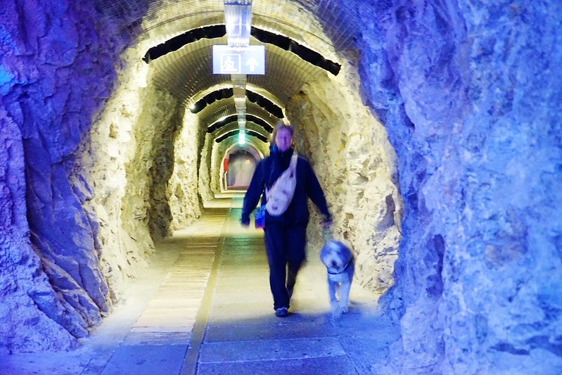 20251102-vr0qg 20251102-vr0qg