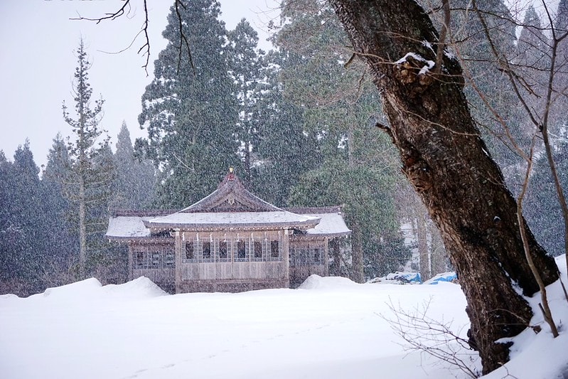 20251102-1h8am 20251102-1h8am