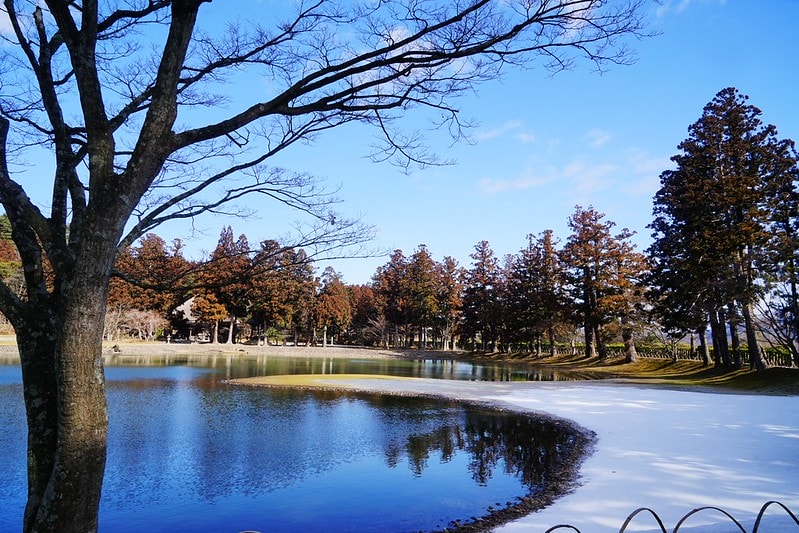 20251102-74f8h 20251102-74f8h