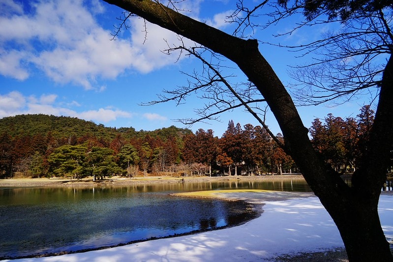 20251102-bi0rr 20251102-bi0rr