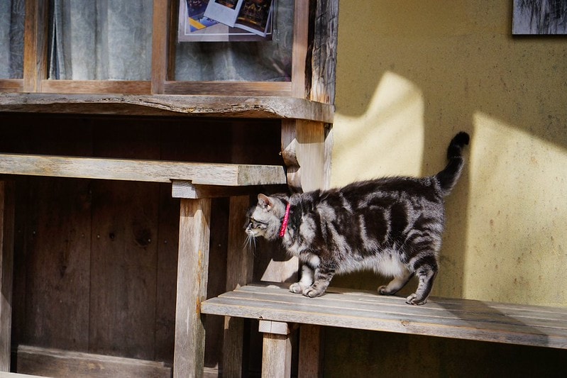 20251102-byirb 20251102-byirb