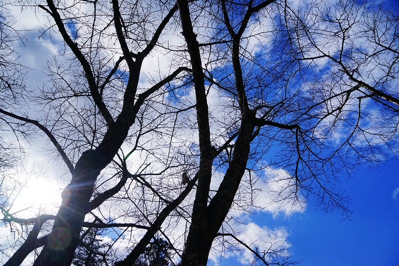 20251102-ct5k5 20251102-ct5k5