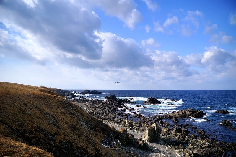 20251102-d2pe6 20251102-d2pe6