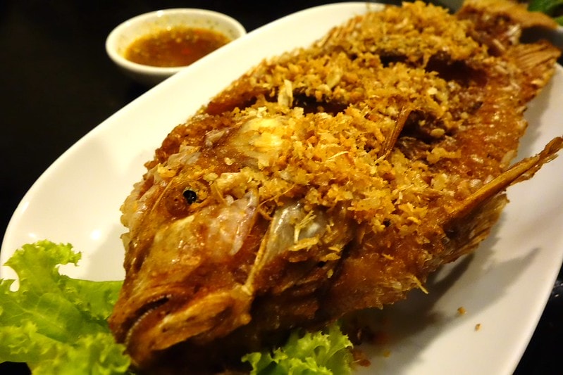 20251102-d8sn0 20251102-d8sn0